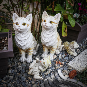japán macskák cuki