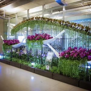 suvarnabhumi repülőtér orchidea