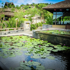 koh samui zöld hotel
