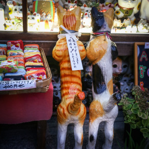japán cicák