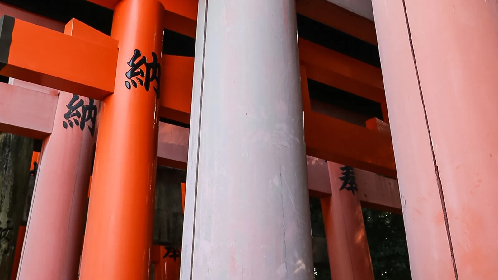A Fushimi Inari: a kőrókák, kiscicák és a próba elé állított jellemek története